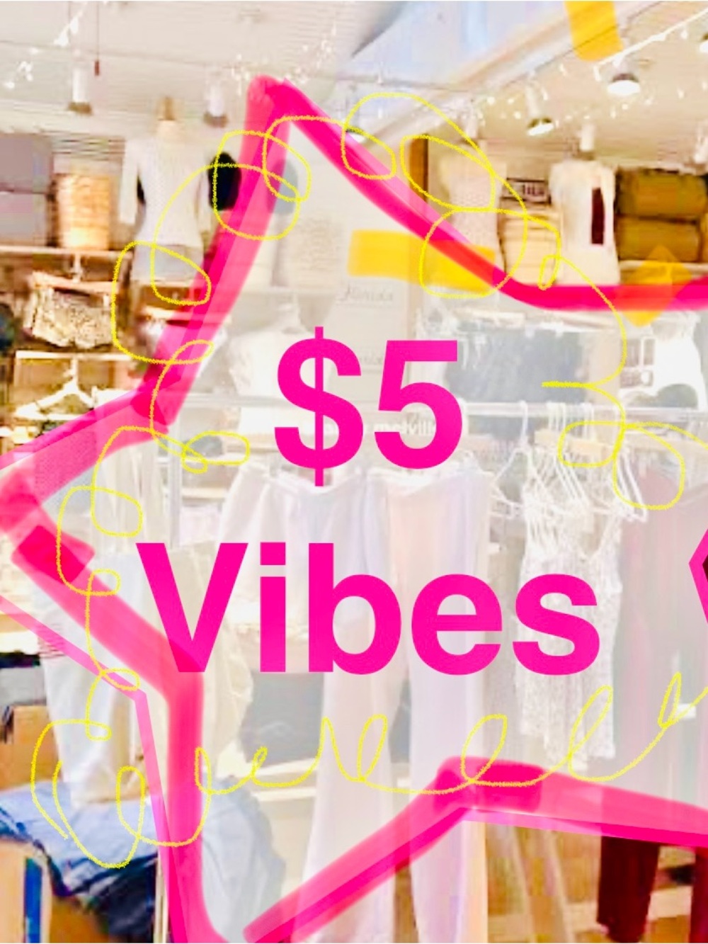 $5 Vibes Sale 🦩🌸🎀